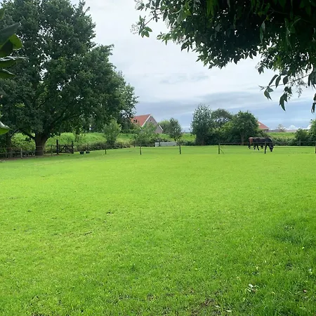 B&B Luxury - Eik Bij De Dijk 3*