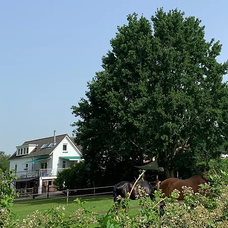 Bed & Breakfast Luxury - Eik Bij De Dijk Aalst