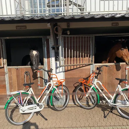 Luxury - Eik Bij De Dijk Bed & Breakfast