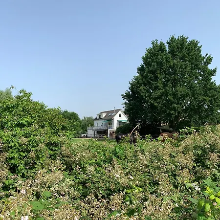 Frühstückspension Luxury - Eik Bij De Dijk 3*
