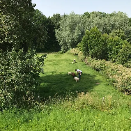 Luxury - Eik Bij De Dijk Bed & Breakfast 3*