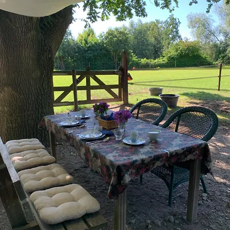 Bed & Breakfast Luxury - Eik Bij De Dijk 3*