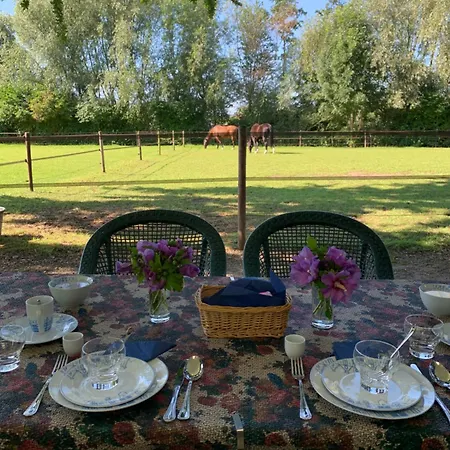 Luxury - Eik Bij De Dijk