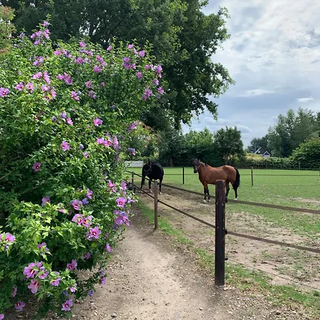 Luxury - Eik Bij De Dijk Bed & Breakfast Aalst