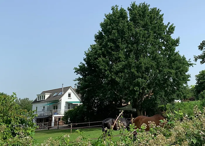 B&B Luxury - Eik Bij De Dijk Aalst