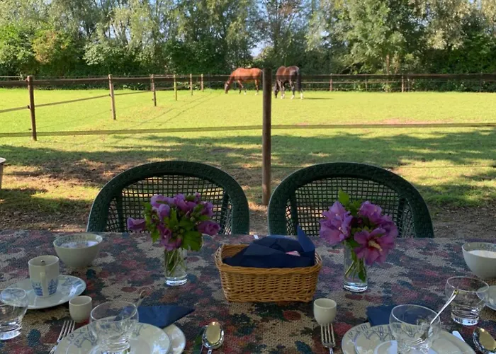 Luxury - Eik Bij De Dijk