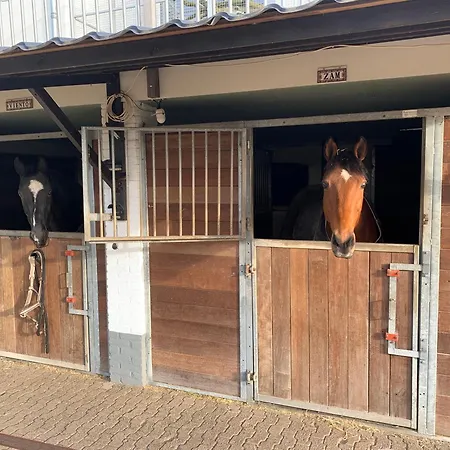 Luxury - Eik Bij De Dijk