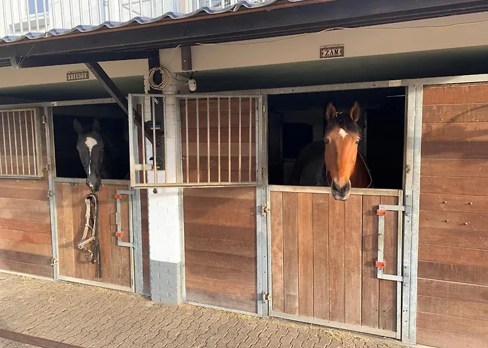 Luxury - Eik Bij De Dijk