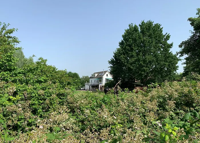 Bed & Breakfast Luxury - Eik Bij De Dijk 3*