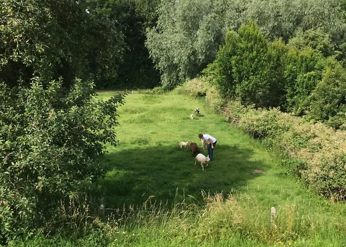 Luxury - Eik Bij De Dijk Bed & Breakfast 3*