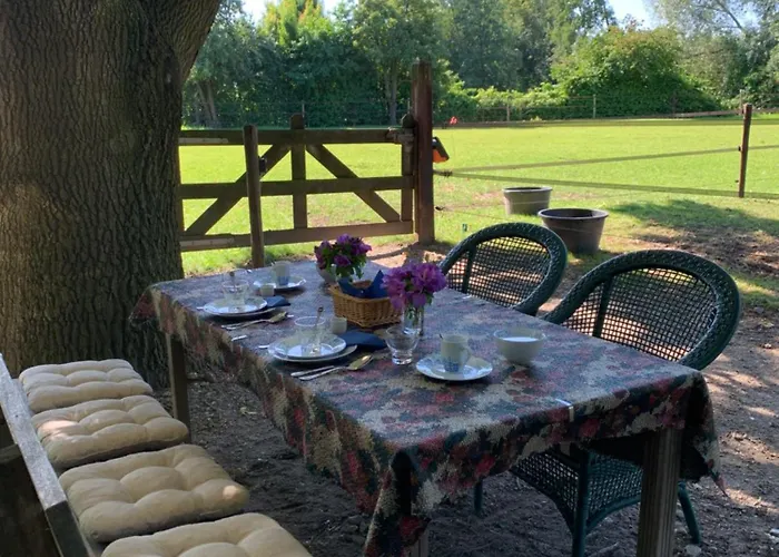 Bed & Breakfast Luxury - Eik Bij De Dijk 3*