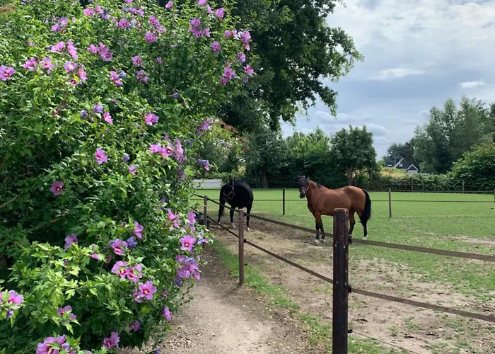 Luxury - Eik Bij De Dijk Bed & Breakfast Aalst